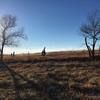 amandawilson577